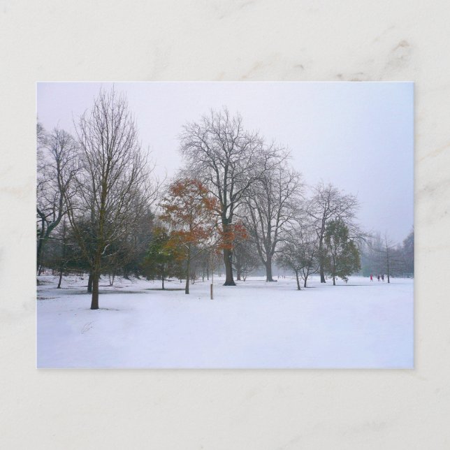 Carte Postale Neige d'hiver, Bute Park, Cardiff, Pays de Galles (Devant)