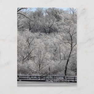 Carte Postale Neige Sur L'Étang