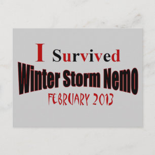 Carte postale NEMO Tempête d'hiver survécue