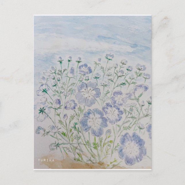 Carte Postale nemophila (Devant)