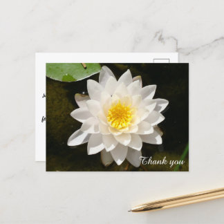 Carte Postale Nénuphar blanc flottant Lotus Merci
