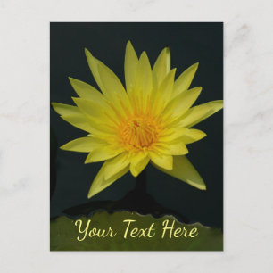 Carte Postale Nénuphar Lotus jaune