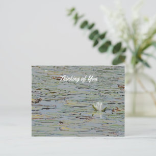 Carte postale nénuphar Pond Lake Flower I