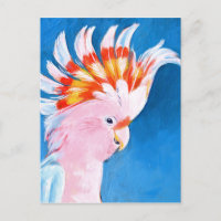 Neon Mohawk - Cockatoo rose