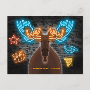 Carte postale Neon Moose 10-Pack