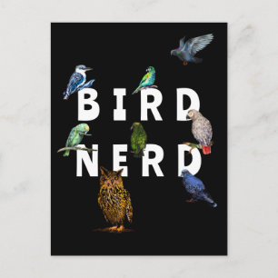 Carte Postale NERD DES OISEAUX, perroquets, hibou, pigeons, kook