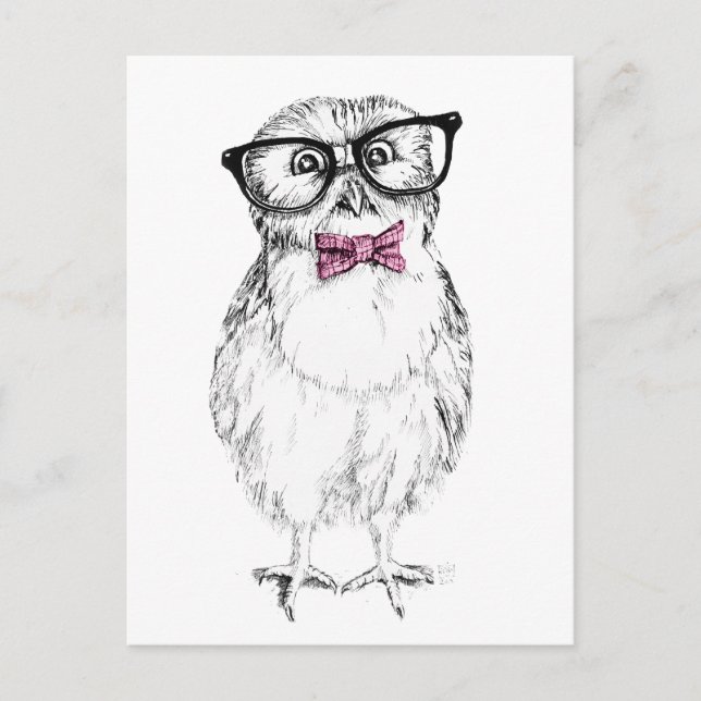 Carte Postale Nerdy Owlet dessin petit et    intelligent (Devant)