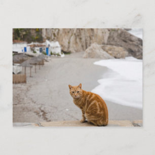 Carte Postale Nerja Malaga Andalousie Espagne