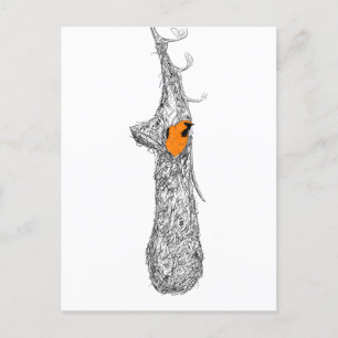 Carte Postale Nest Oriole
