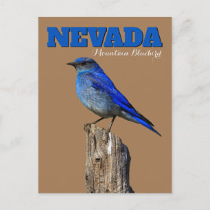 Carte Postale Nevada Bluebird vertical