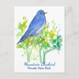 Carte Postale Nevada State Bird Mountain Bluebird