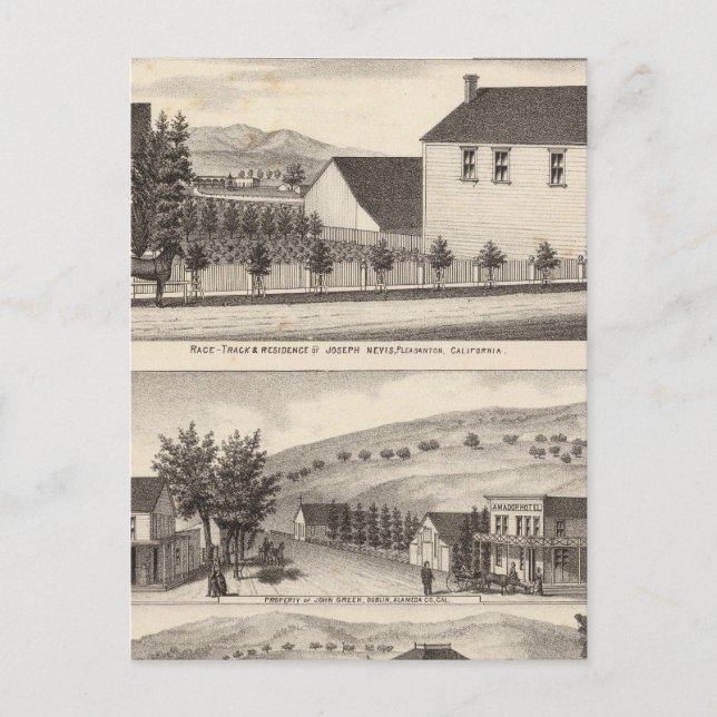 Carte Postale Nevis, Résidences vertes, fermes (Devant)
