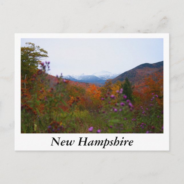 Carte Postale New Hampshire (Devant)