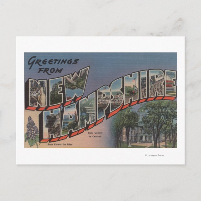 Carte Postale New Hampshire (Capitale d'Etat/Fleur) (Devant)