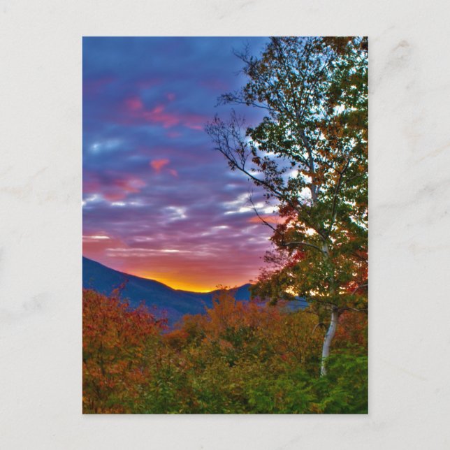 Carte Postale New Hampshire Fall Foliage Sunset (Devant)