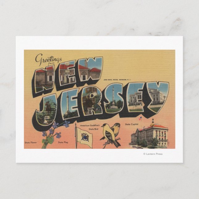 Carte Postale New Jersey (Capitale Nationale/Fleur/Oiseau) (Devant)