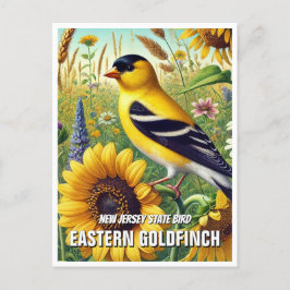 Carte Postale New Jersey State Bird Eastern Goldfinch