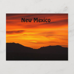 Carte Postale New mexico postcard