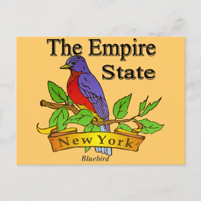 Carte Postale New York L'Empire State Bird (Devant)