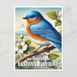 Carte Postale New York State Bird Eastern Bluebird