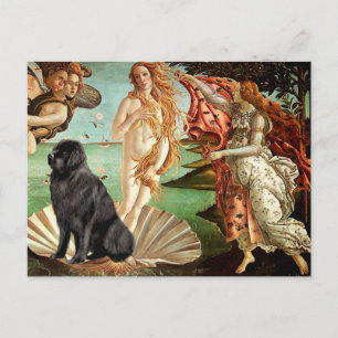 Carte Postale Newfie 1 - Naissance de Vénus