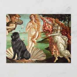 Carte Postale Newfie 1 - Naissance de Vénus