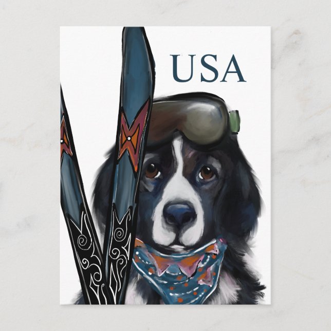 CARTE POSTALE NEWFOUNDLAND DOG  (Devant)