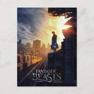 Carte Postale NEWT SCAMANDER™ dans un bâtiment détruit