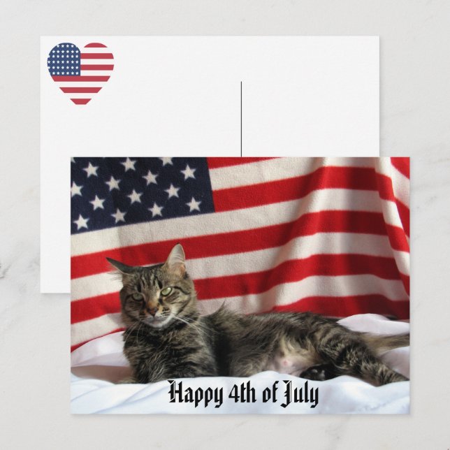 Carte Postale Nia Le Chat Joyeux Jour de l'Indépendance Amérique (Devant / Derrière)