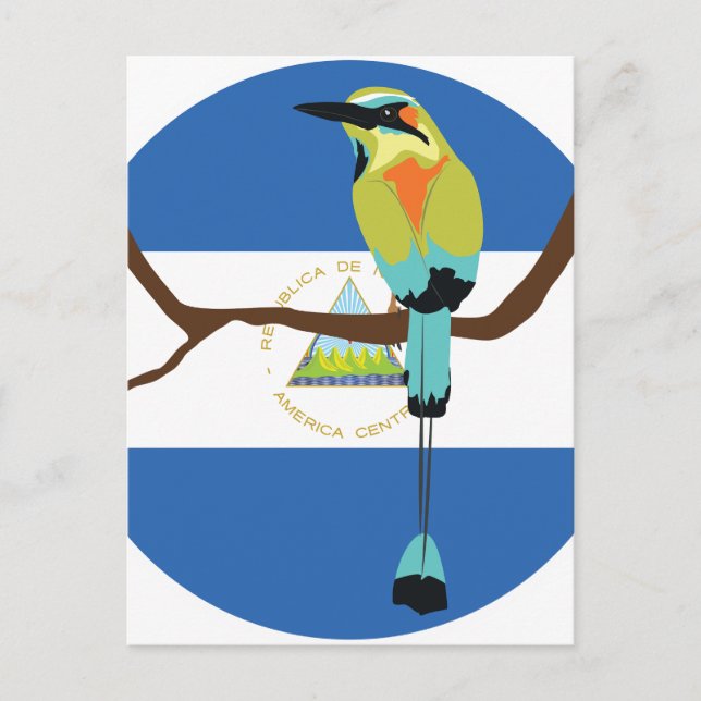 Carte Postale Nicaragua Torogoz à motmot à tête turquoise (Devant)