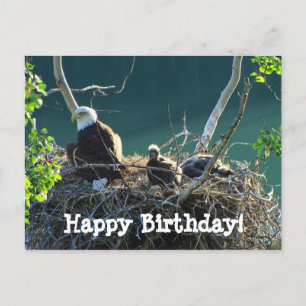 Carte Postale Nid d'aigle ; Joyeux anniversaire