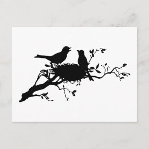 Carte Postale Nid d'oiseaux