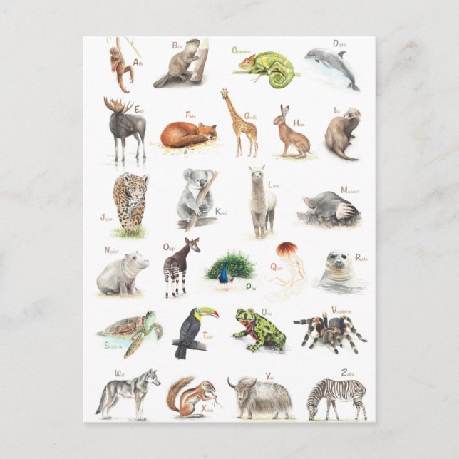 Carte Postale Niveau ABC (Devant)