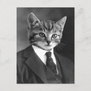 Carte postale no 1 du chat Gentleman