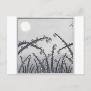 Carte Postale No 33 Morning Dew