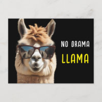 No Drama Llama Cool Alpaca avec lunettes de soleil