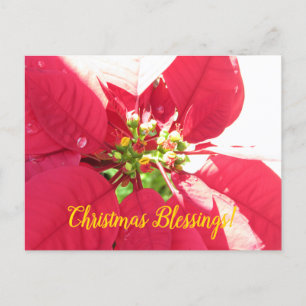 Carte postale Noël 004 - Carte postale