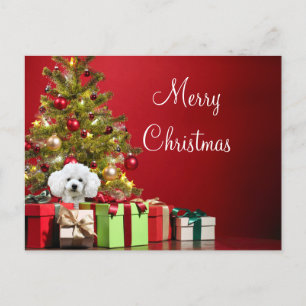 Carte Postale Noël aux canicules blanches