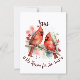 Carte Postale Noël Cardinal Rouge Jésus Raison de la saison