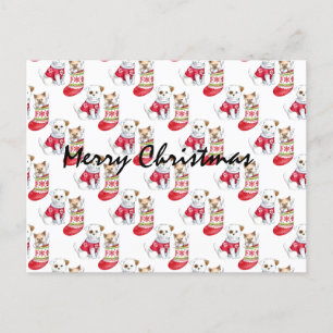 Carte Postale Noel Chien & Chat Stockings