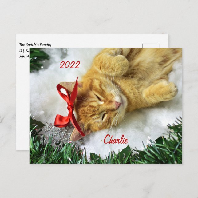 Carte Postale Noël de chat Tabby Orange Personnalisé (Devant / Derrière)