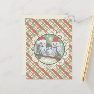 Carte Postale Noel de Chouette Neige