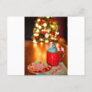 Carte Postale Noël de la perruche