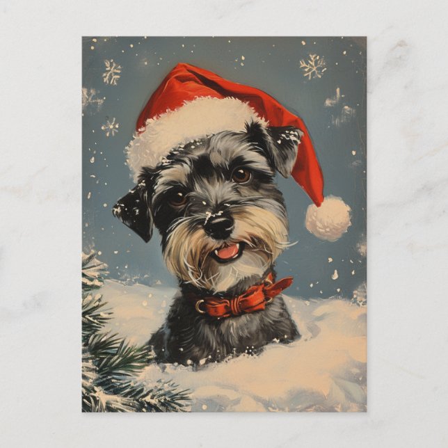 Carte Postale Noël des Schnauzer miniatures (Devant)
