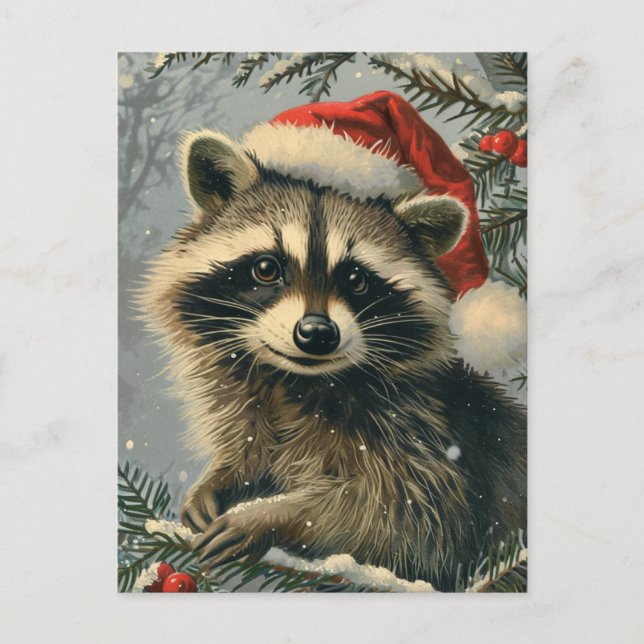 Carte Postale Noël du Raccoon (Devant)