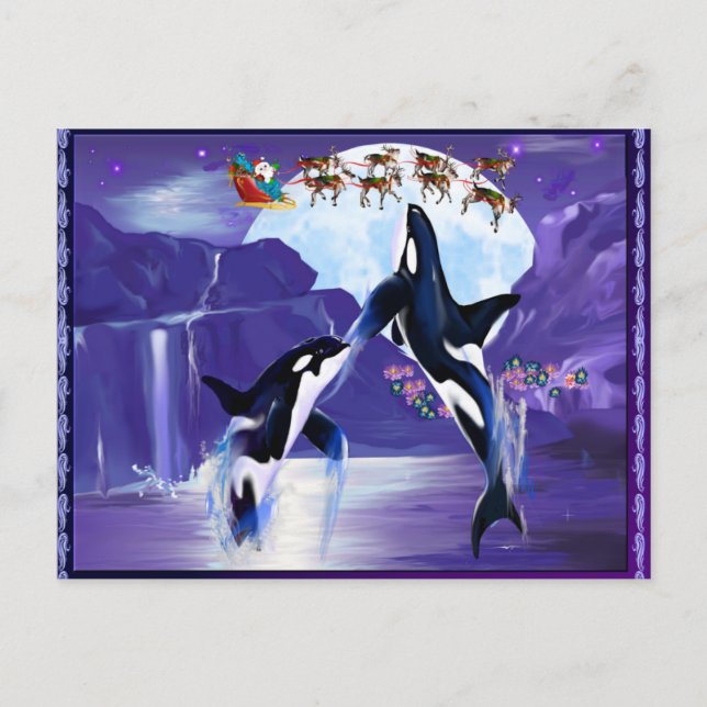Carte Postale Noël Orca (Devant)