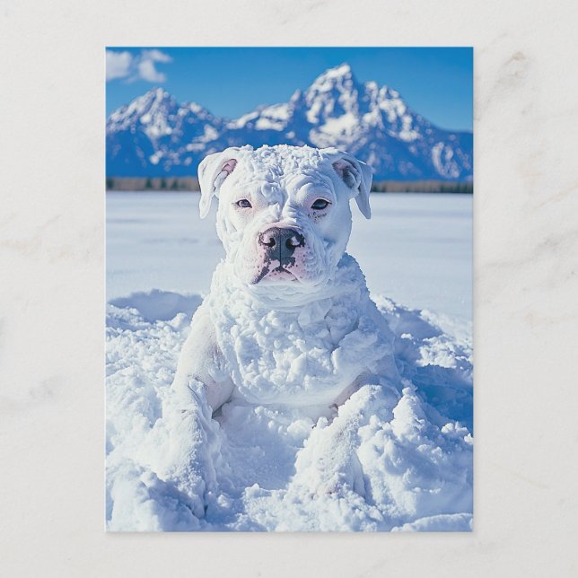 Carte Postale Noël Pitbull Chien Snowman (Devant)