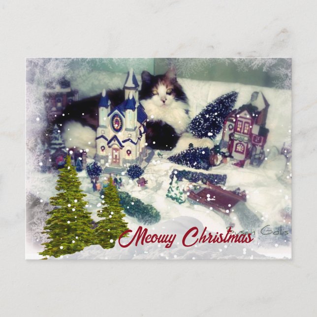 Carte Postale Noël Rétro Chat / Fête de l'amour pour les chats  (Devant)