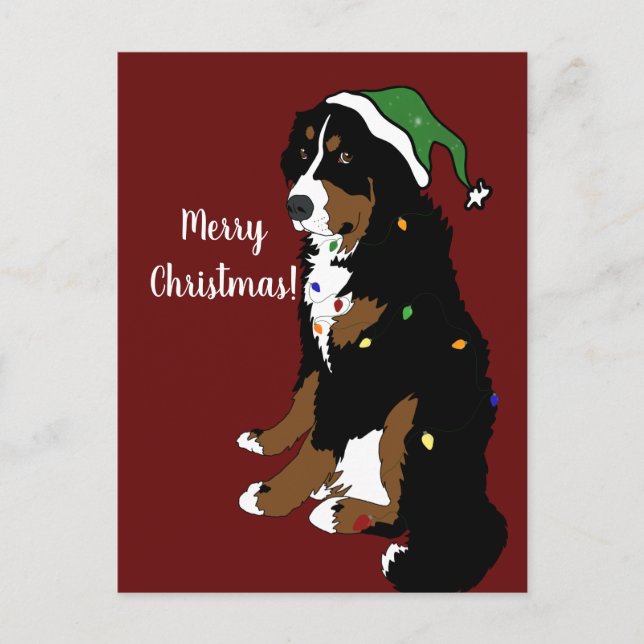 Carte Postale Noël Vacances Bernese Mountain Dog (Devant)