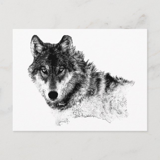 Carte Postale Noir Blanc Inspiration Wolf Eyes (Devant)